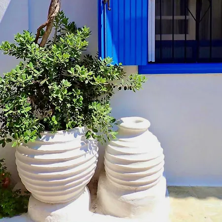 Agapi Nefeli Artisthouse Roofterrace Island Sea View * Skopelos Town